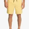 Quiksilver TAXER AMPHIBIAN 18 - Zwemshorts