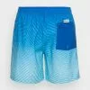 Quiksilver EVERYDAY WARPED LOGO VOLLEY - Zwemshorts