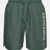 Superdry CODE APPLQUE 19INCH FOREST - Zwemshorts