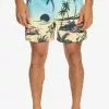 Quiksilver EVERYDAY PARADISE VOLLEY 15 - Zwemshorts