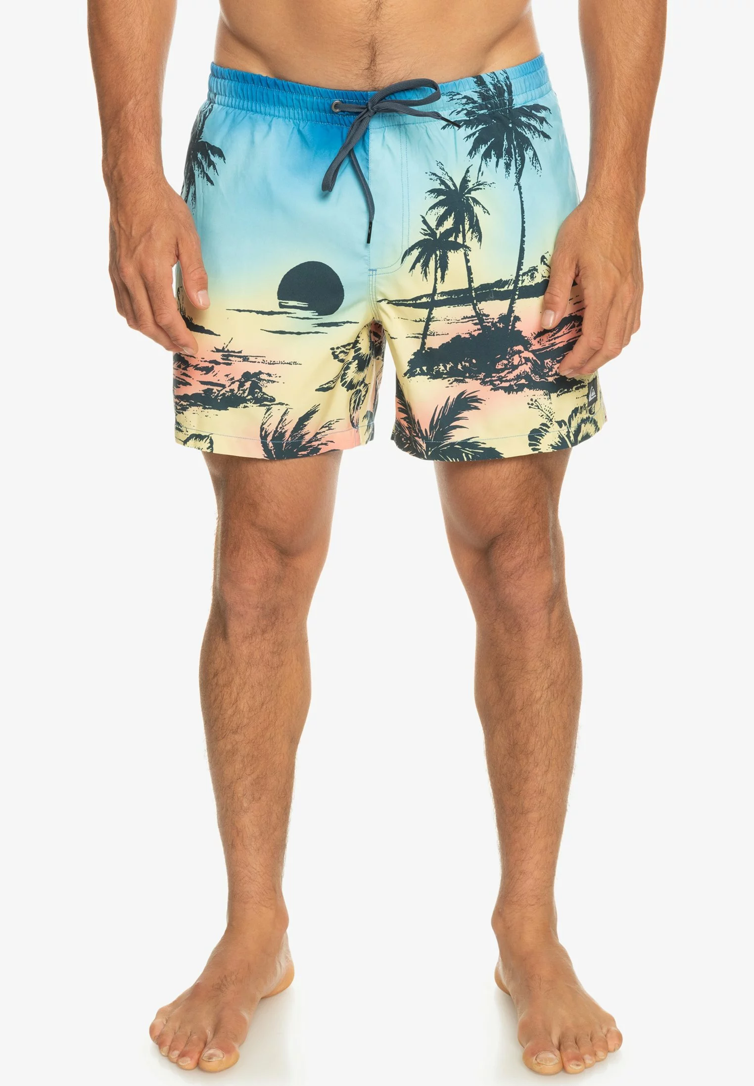 Quiksilver EVERYDAY PARADISE VOLLEY 15 - Zwemshorts